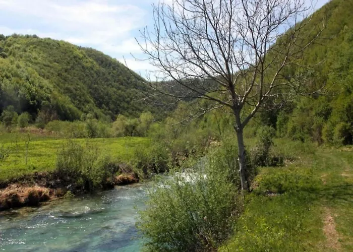 Comfort With Swimming Pool And Terrace וילה